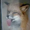 Roger Dahlstrom - @rogerdahlstrom - TikTok
