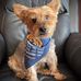 Roger Darling - Facebook