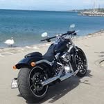 Roger Deforel - @rogerdeforel - Instagram