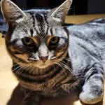 Roger Delisle - @rogerdelisle89 - Instagram