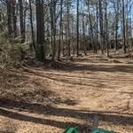 @roger.denney - Instagram