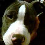Roger Denney - Facebook