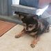 Roger Ditto - Facebook