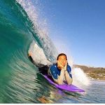 Roger Dodger - @barrel_dodgers_anonymous - Instagram