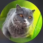 Roger Dougherty - @rogerdougherty48 - Instagram