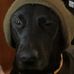 Roger Dow - Facebook