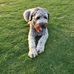 Roger Dowling - Facebook