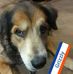 Roger Doyon - Facebook