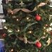 Roger Doyon - Facebook