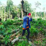 Roger Monteiro - @roger_drummond - Instagram