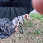 Roger Duffet - @roger.duffet.83 - Instagram