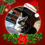 Susan-Roger Dulaney - @susanrogerdulaney - Instagram