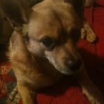 Roger Durfee - Facebook