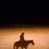 Roger Elkins342 - @rogerelkins0ffmed4507 - TikTok