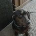 Roger Elkins - Facebook