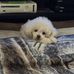 Roger Elkins - Facebook