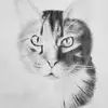 Roger Fair - @roger.fair - TikTok