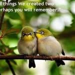 Rogerz-rzk fellow's - @rogerzrzkfellows - Instagram