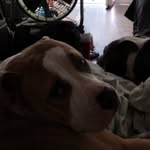Roger ferrell - @rogerferrell743 - Instagram