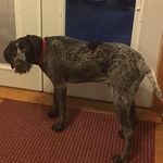 Roger Fetters - @fettersroger - Instagram