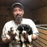 Roger Fish - @rogerfish21 - Instagram