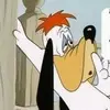 Roger Gitton - @rogergitton - TikTok