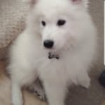 Roger Fleming - @rogerfleming007 - Instagram