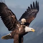 Roger Fleming - @pastorfleming30 - Instagram