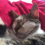 Roger Fleming - @raftn - Instagram
