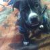 Roger Fleming - Facebook