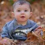 Roger Fleming - @cat213325 - Instagram