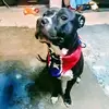 rogerfleming420 - @rogerfleming420 - TikTok