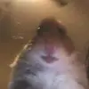 Roger Flint - @evilfrankbob7 - TikTok