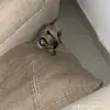 Roger Florez - @roger.florez4 - TikTok
