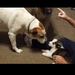 Roger Fogle - @gerfogle - Instagram