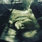 RogerFogle - @north_all_ - Instagram