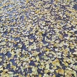 rogerforce - @rogerforce - Instagram