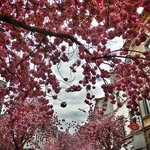 Roger Förster - @roger.foerster - Instagram