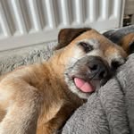 Roger Joseph Forster - @rogerforster48 - Instagram