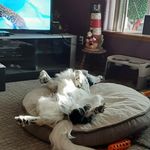 Roger Fraser - @roger.fraser.395 - Instagram