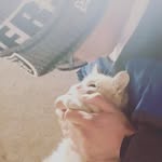 Roger Lopez - @roger_free_ - Instagram