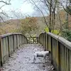 Roger Funkbythenavel - @rogerfunkbythenav1 - TikTok