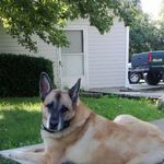 Roger Futrell - @roger.futrell.3 - Instagram