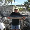 Roger Gamache - @roger.gamache - TikTok