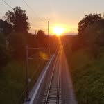 Roger Gasser - @ro.gasser20 - Instagram