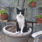 Roger Gerber - @rogerber79 - Instagram