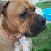 Roger Gerth - Facebook