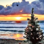 Roger Goff - Facebook