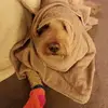 rogergoff73 - @rogergoff73 - TikTok