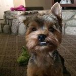 Roger Goldstein - @goldstein.roger - Instagram
